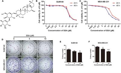 Saikosaponin A Inhibits Triple-Negative Breast Cancer Growth and Metastasis Through Downregulation of CXCR4